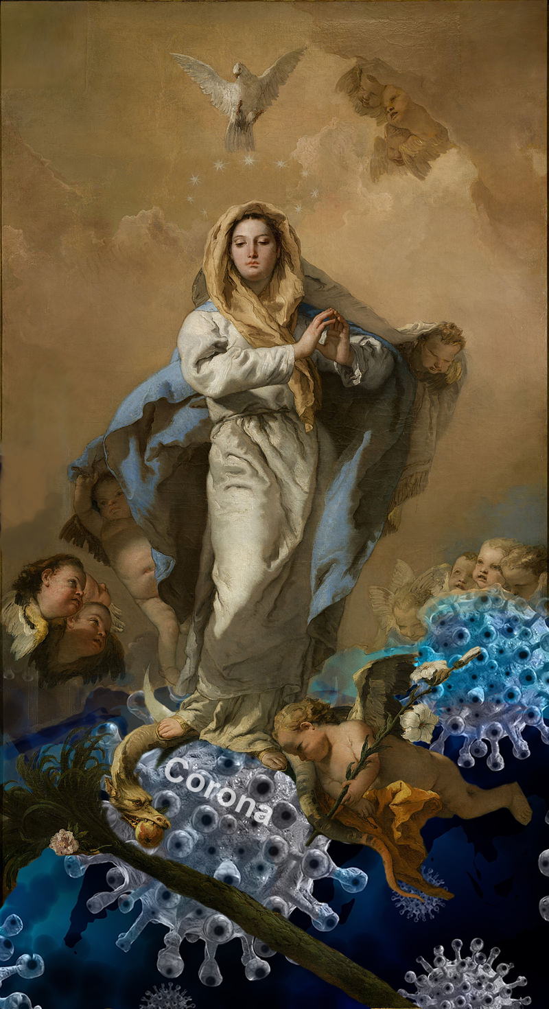 Immaculata Corona1