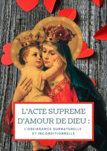 arme du chevalier allegeance2