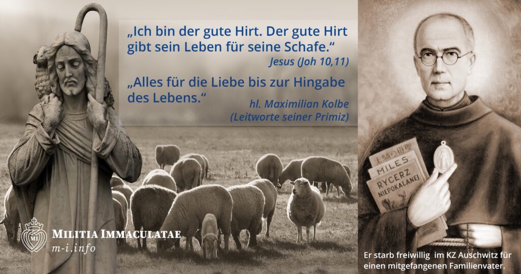 Zitat 2021 kw16