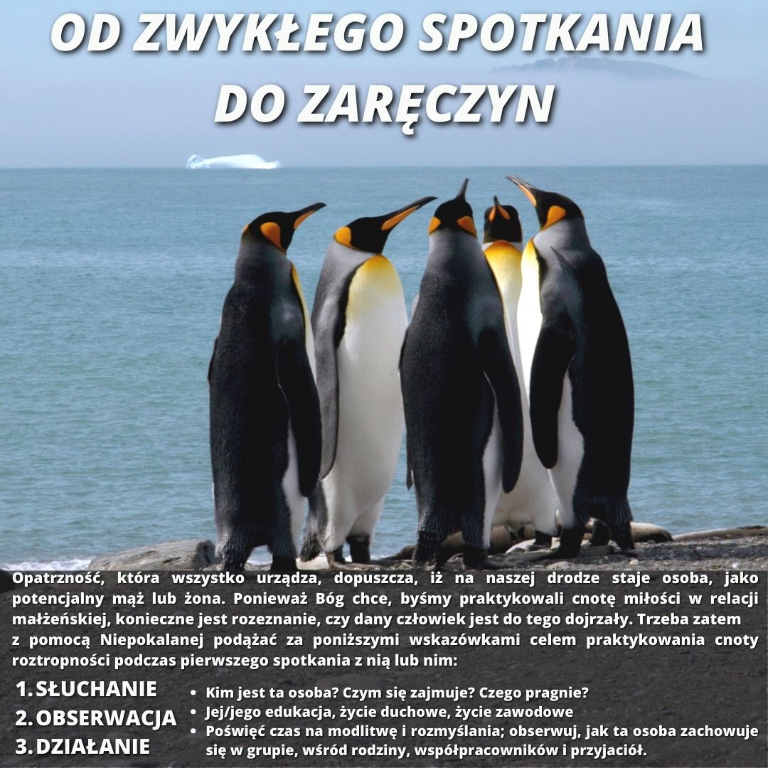 Życie katolickie 16 Pol 0000255