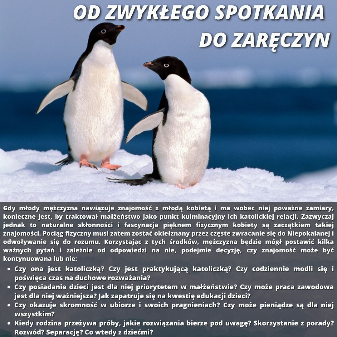 Życie katolickie 17 Pol 0000256