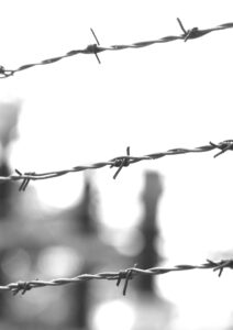Interview avec l’un des témoins du sacrifice héroïque du Père Maximilien Kolbe 6 4