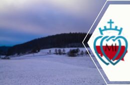 pologne pr article
