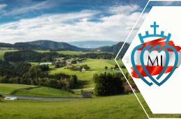 AUTRICHE PR ARTICLE