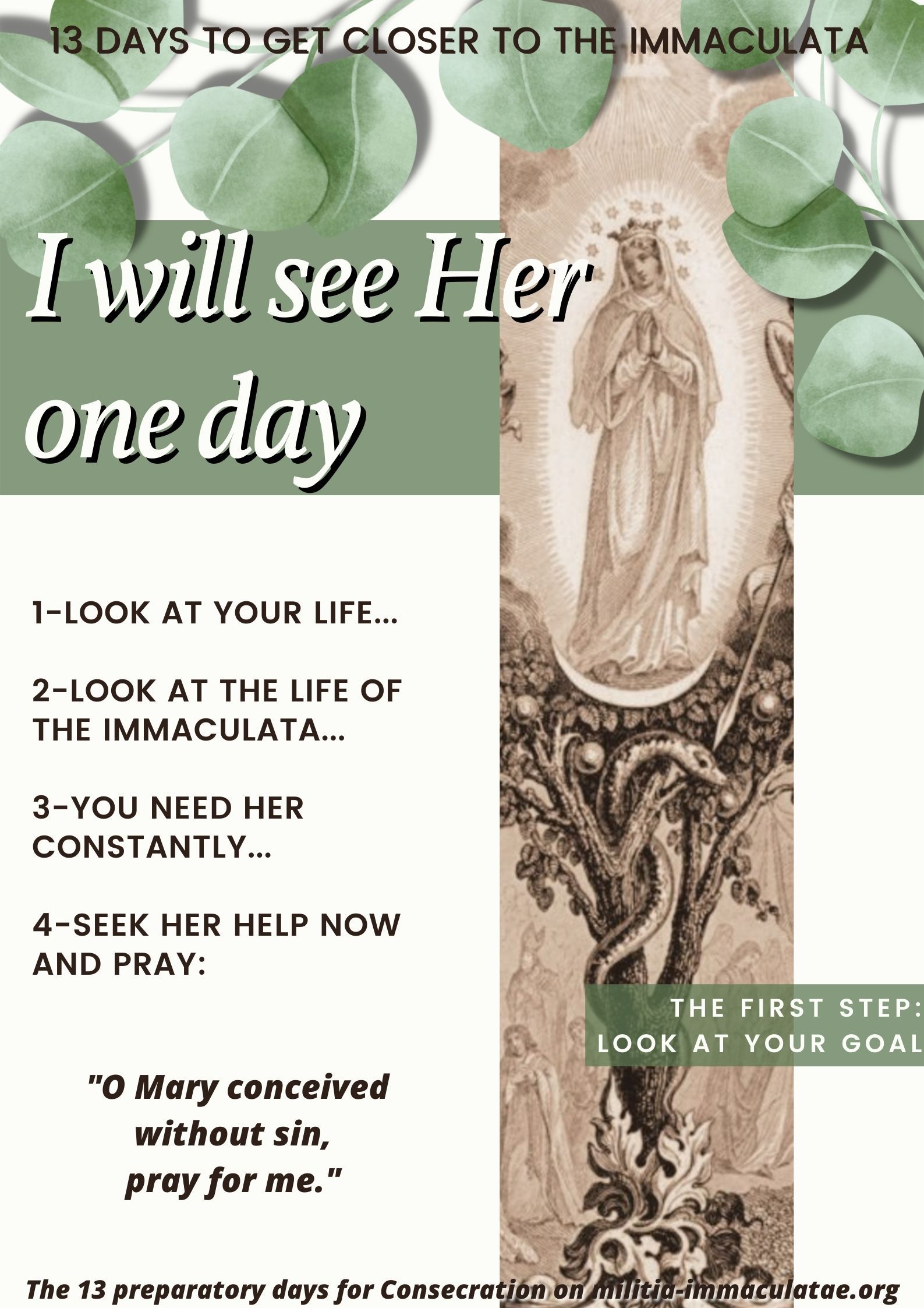 Renew or prepare your consecration to the Immaculata 13 Engl 0000223