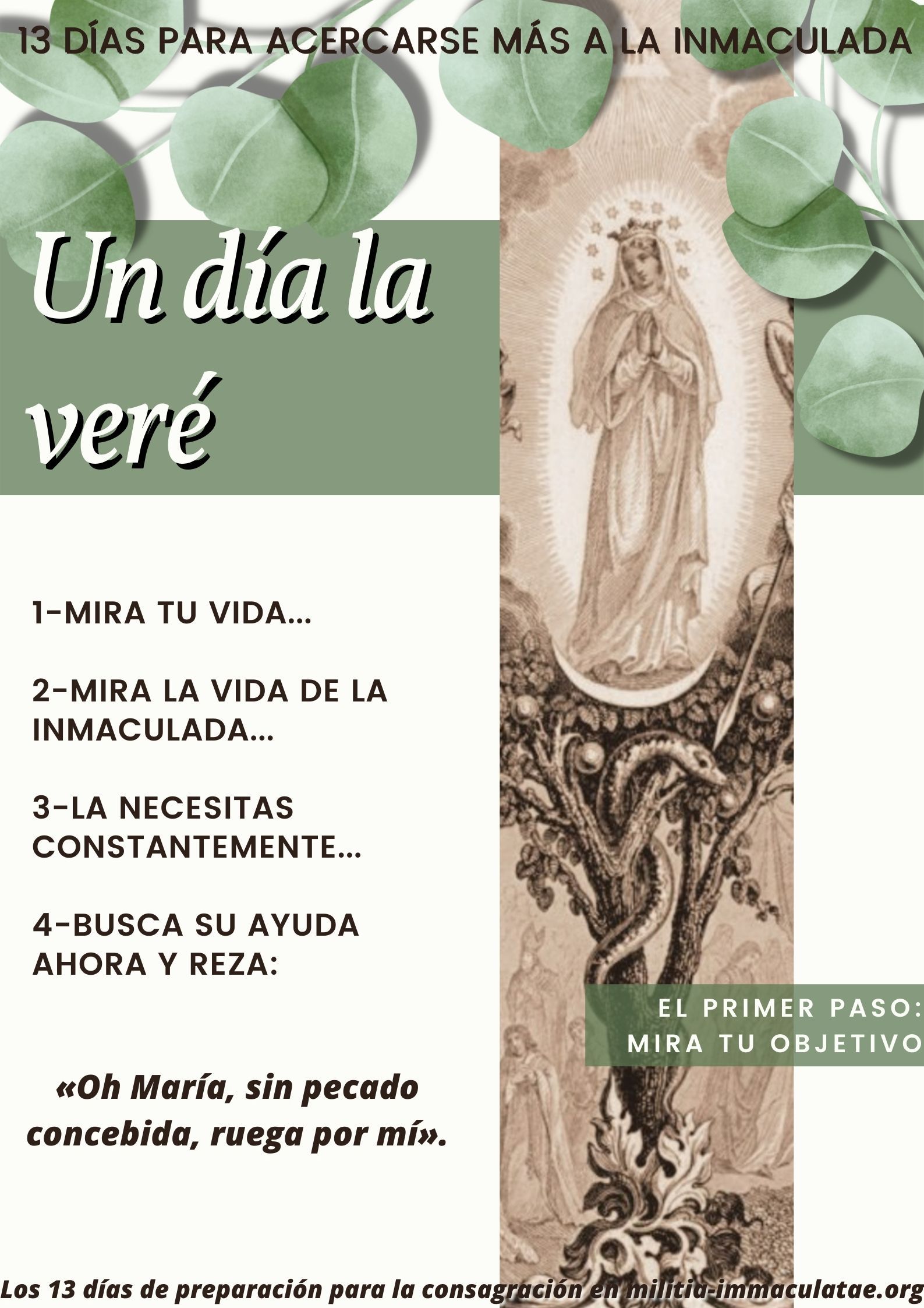 Preparo o renuevo mi consagración a la Inmaculada 13 Span 0000223