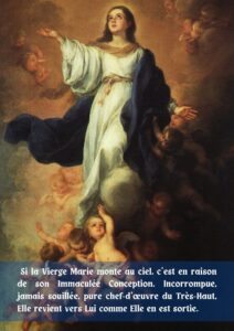 Proclamation du dogme de l’Assomption par Pie XII en 1950 : Munificentissimus Deus 2 dogme assomption proclamation pie XII pr deco3