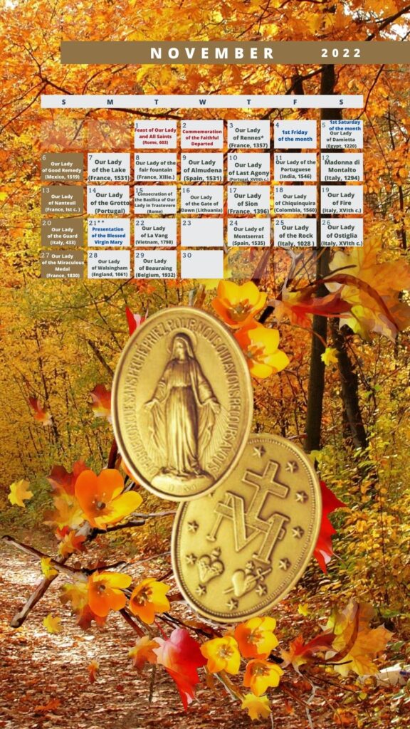SCREEN Calendar 2022 novembre