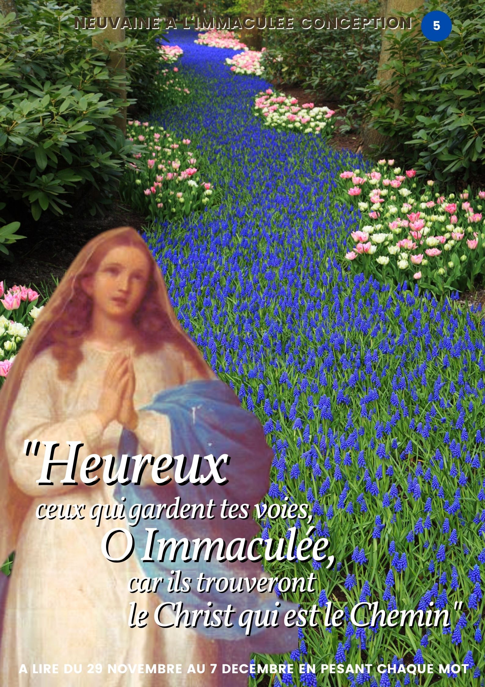 La neuvaine à l'Immaculée Conception en image 5 0000394 1