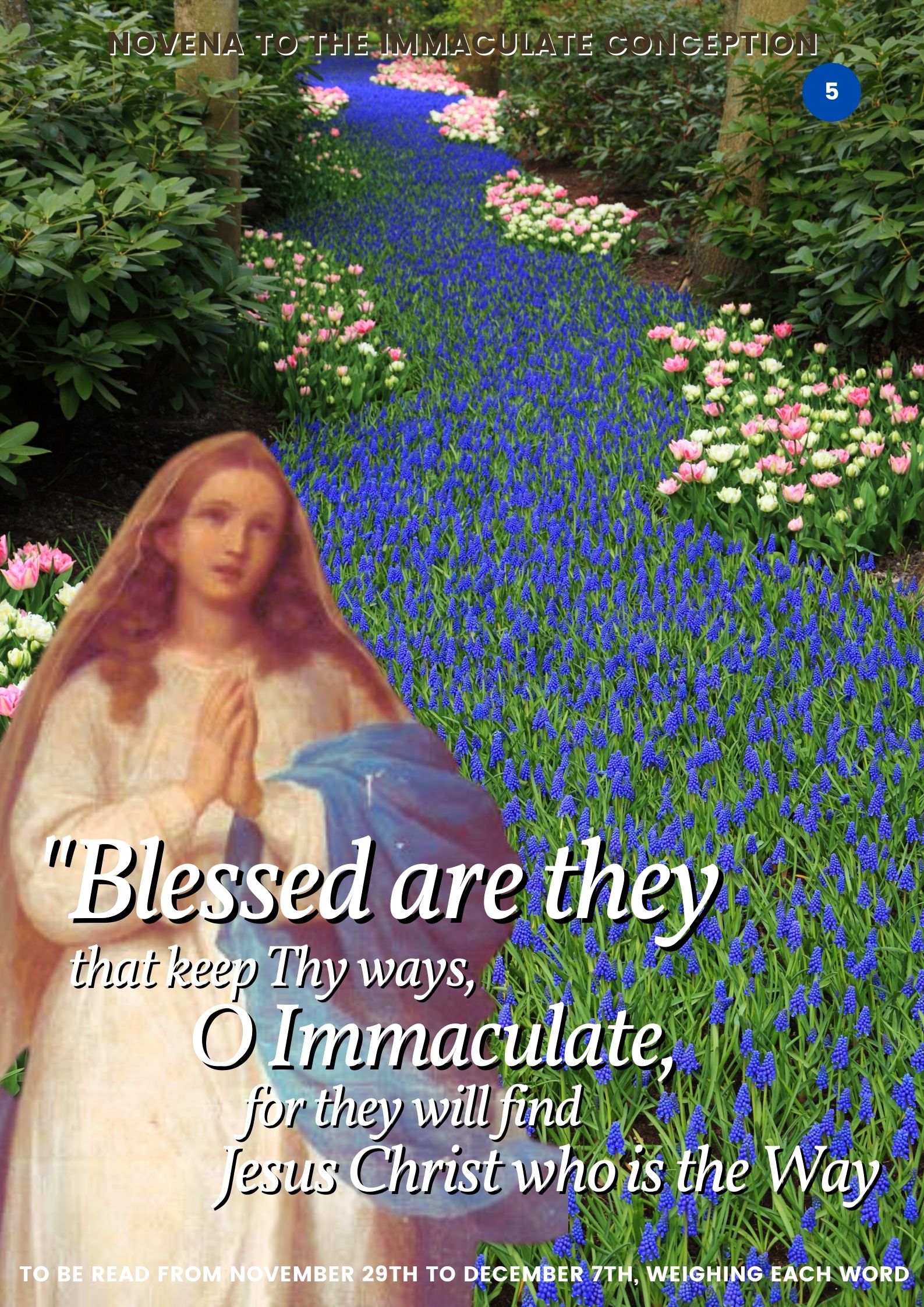 Novena to the Immaculate Conception in pictures 5 Engl 0000394