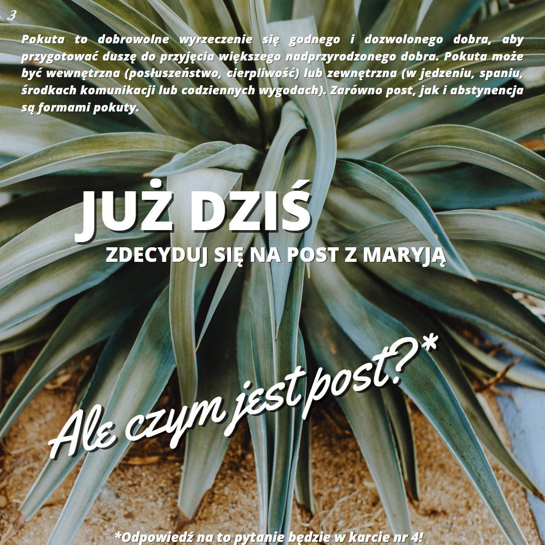 Życie katolickie 8 Pol 0000422