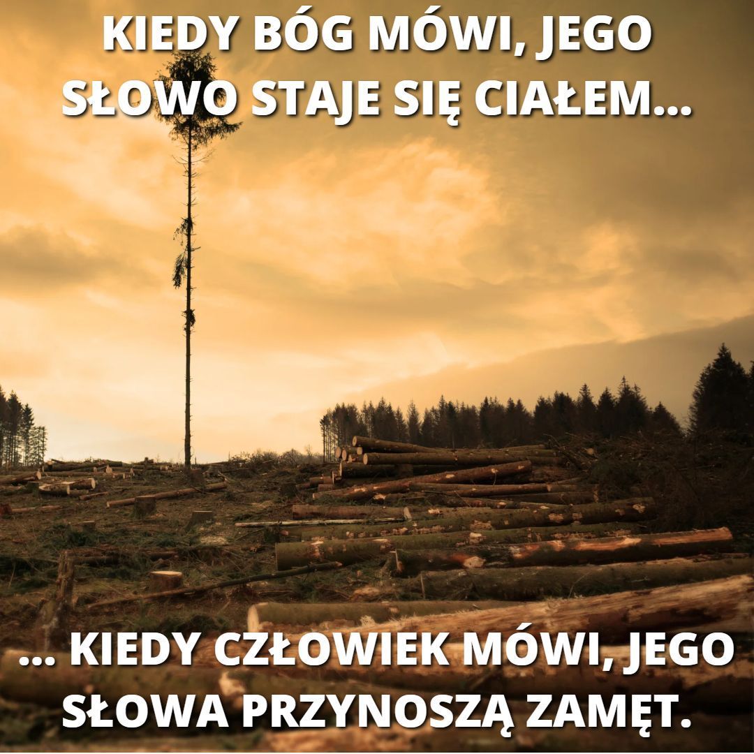 Życie katolickie 40 POL 000003