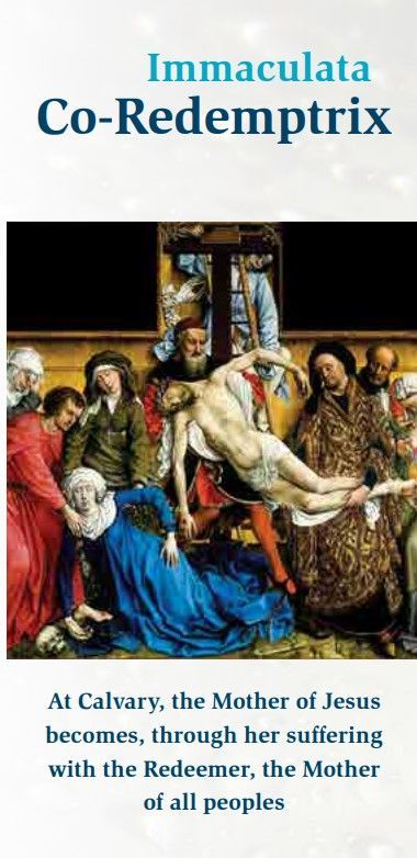 My Lent time with Mary - The Holy Passion of Our Lord Jesus Christ 5 Screenshot 2023 03 31 170317