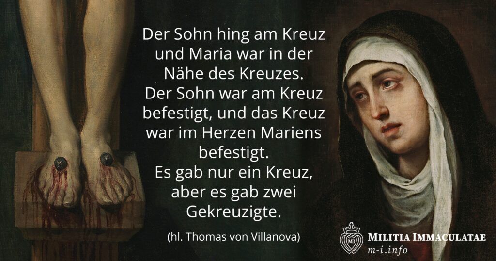 Zitat 2023 KW13