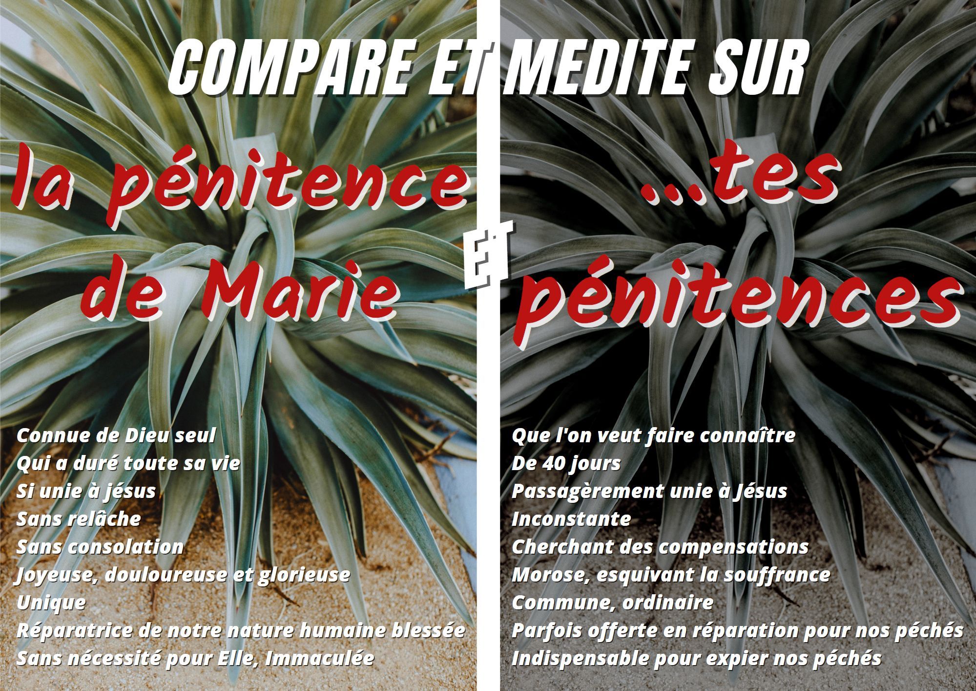 Mon Carême avec Marie - La Passion 3 0000435
