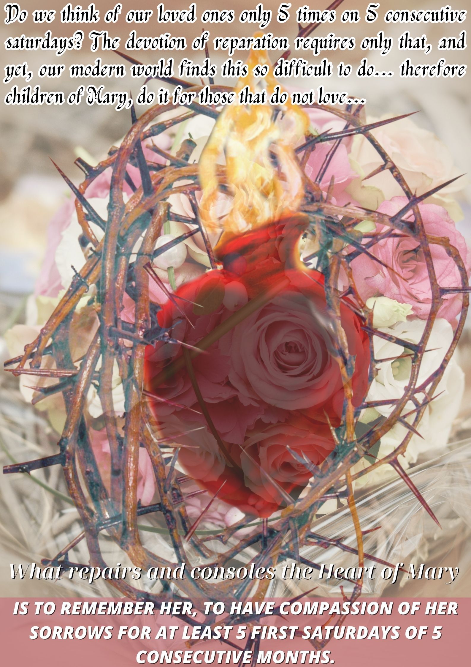Great Novena in preparation for the feast of Our Lady of Fatima 14 Engl 0000446