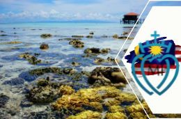 Malaisie pr article