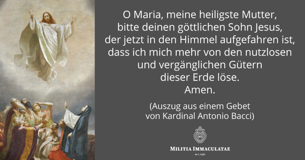 Zitat 2023 KW18