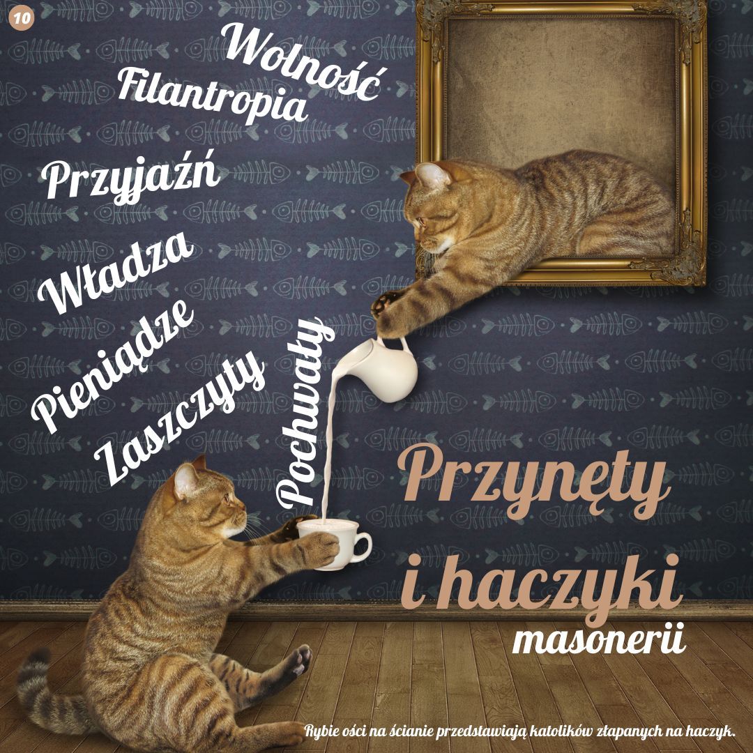 SZKOLENIE 19 Pol 0000334
