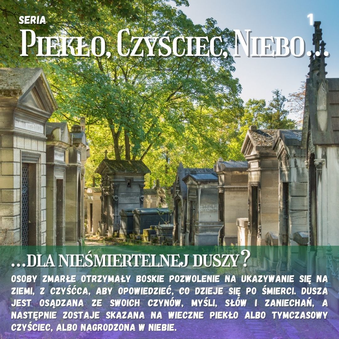 SZKOLENIE 1 Pol 0000489